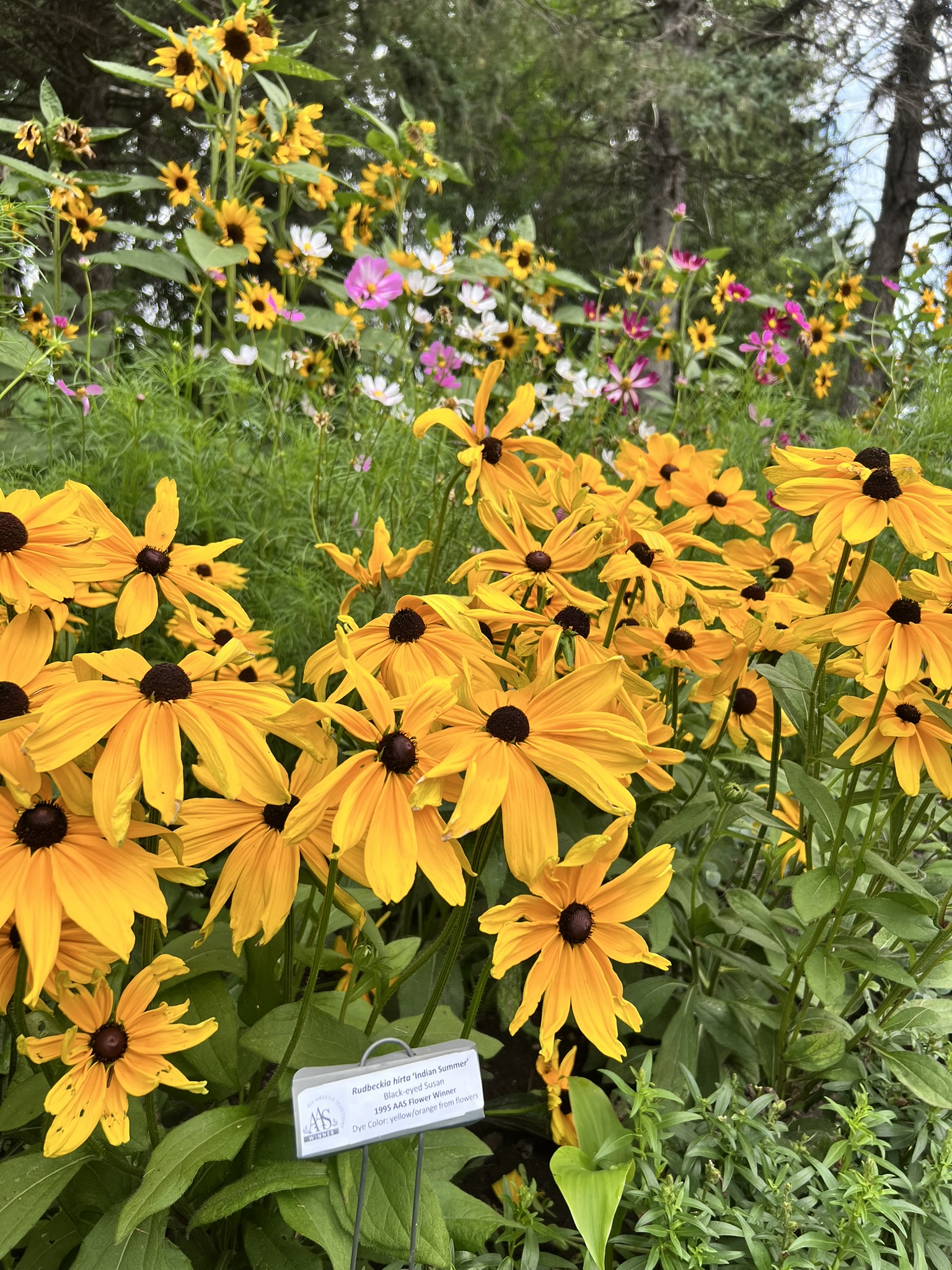 McCrory Gardens in Broookings, South Dakota