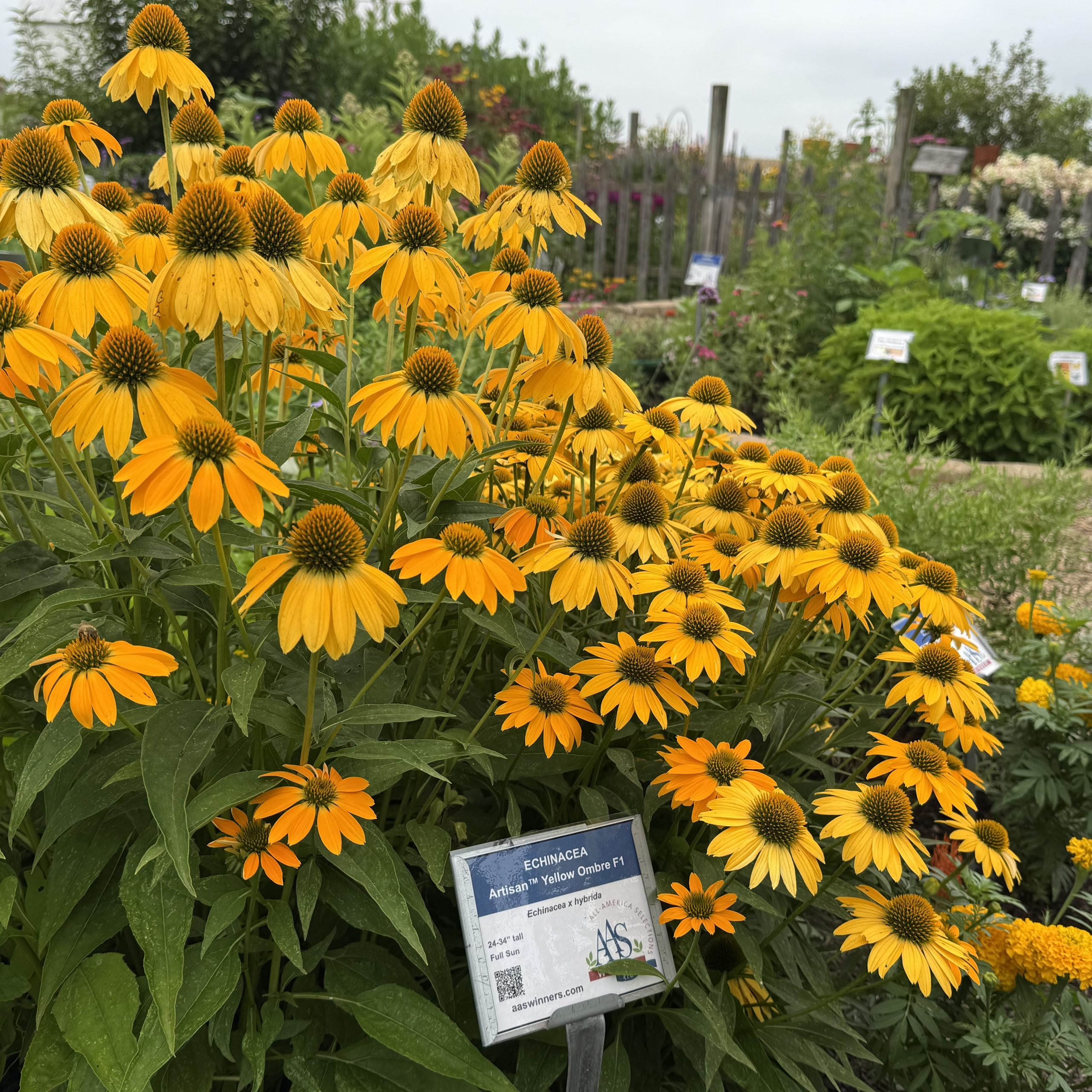 First Place Winner: Penn State Ext Lancaster County Master Gardeners' Idea Gardens in Mannheim, Pennsylvania