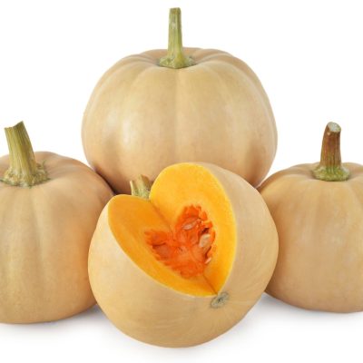 AAS Winner Squash, winter Butter Lamp F1