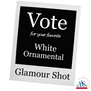 August 2026 White