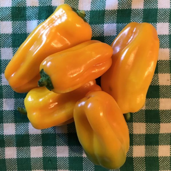 Pepper Just Sweet