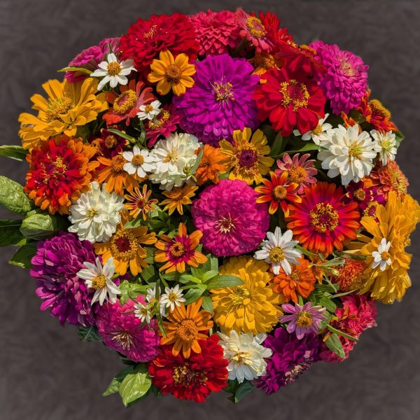 Zinnia and Basil Bouquest