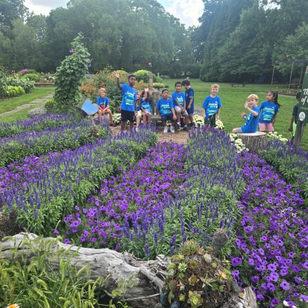AAS Display Challenge Winner - Third Place Winner: Boerner Botanical Gardens in Milwaukee, Wisconsin