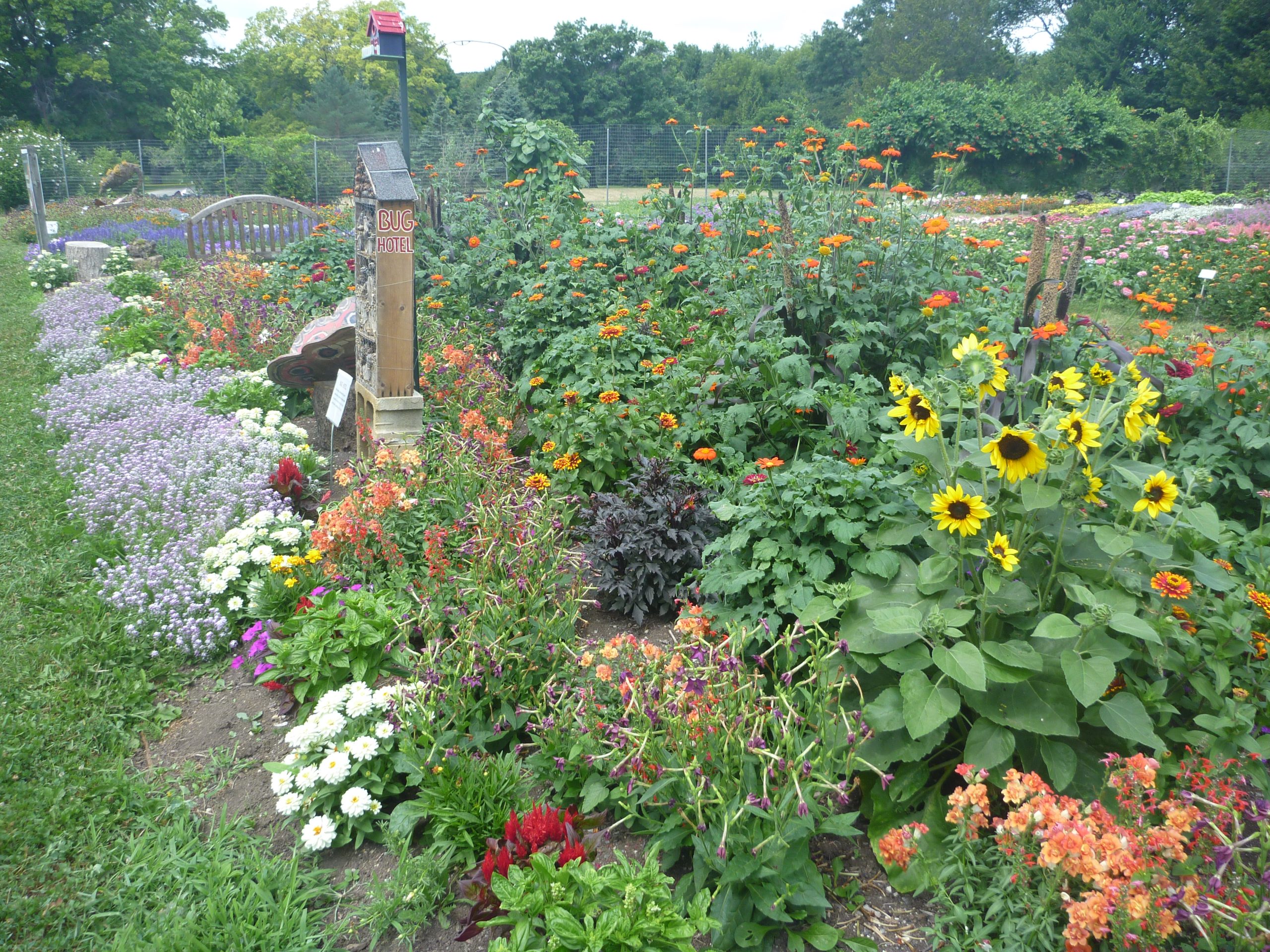 AAS Display Challenge Winner - Third Place Winner: Boerner Botanical Gardens in Milwaukee, Wisconsin