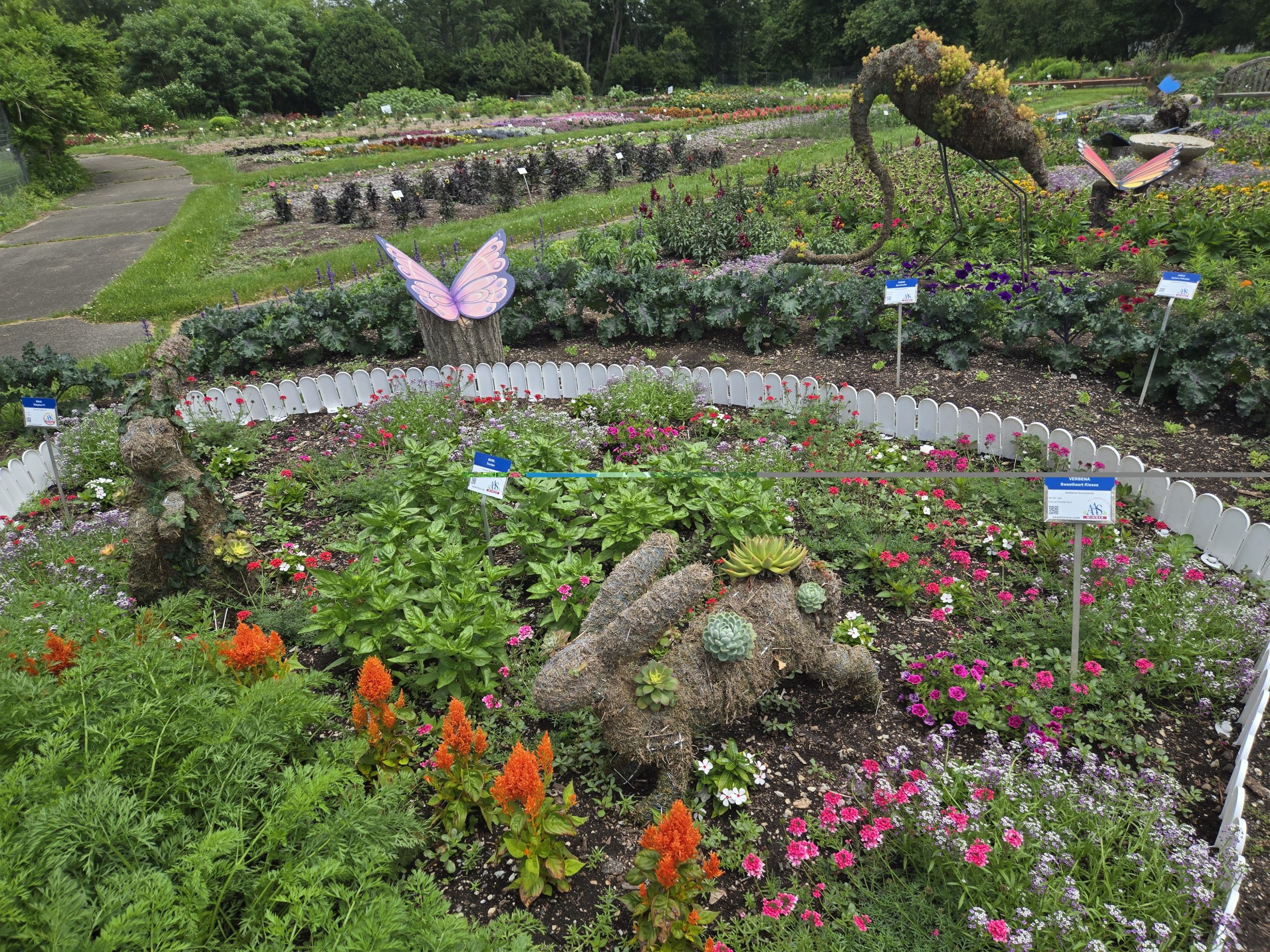 AAS Display Challenge Winner - Third Place Winner: Boerner Botanical Gardens in Milwaukee, Wisconsin