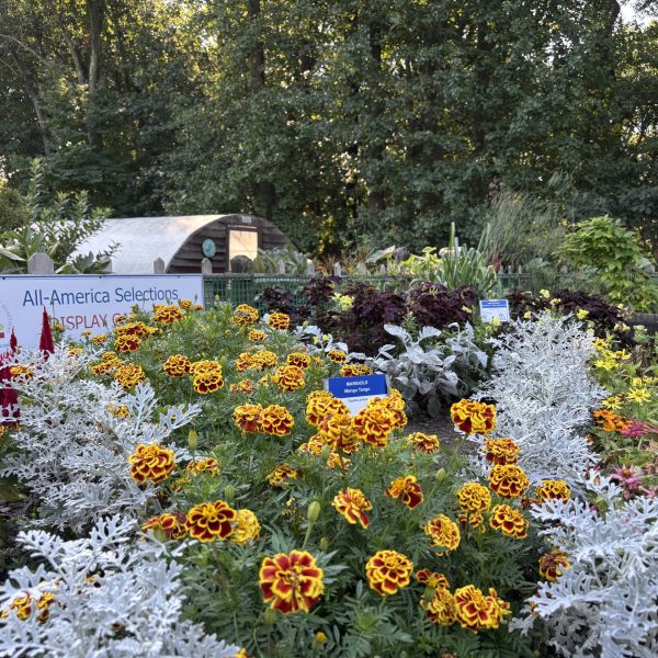 AAS Landscape Design Challenge Winner First Place Winner: Deep Cut Gardens, Middletown, New Jersey
