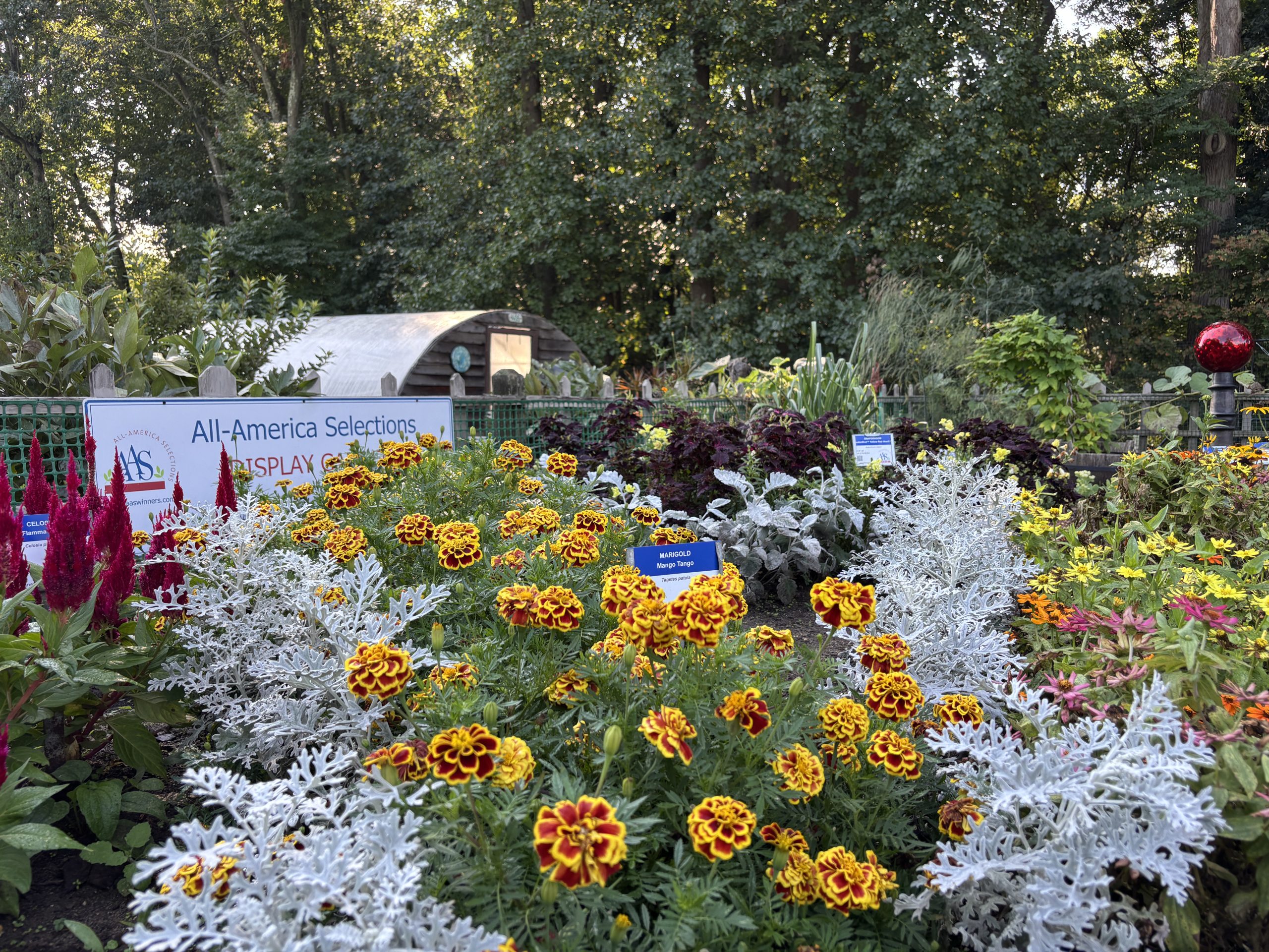 AAS Landscape Design Challenge Winner First Place Winner: Deep Cut Gardens, Middletown, New Jersey AAS Landscape Design Challenge Winner First Place Winner: Deep Cut Gardens, Middletown, New Jersey