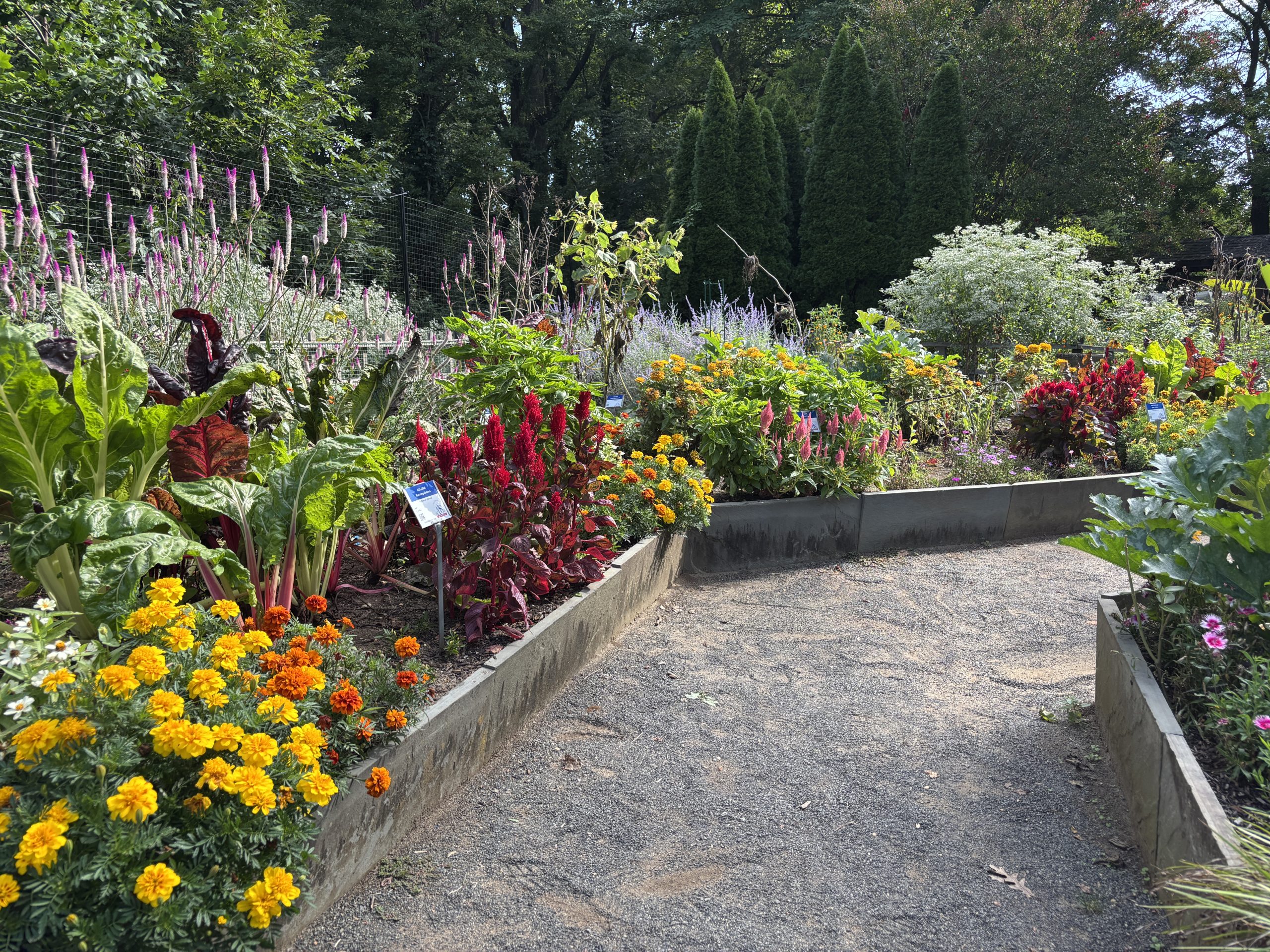 AAS Landscape Design Challenge Winner First Place Winner: Deep Cut Gardens, Middletown, New Jersey AAS Landscape Design Challenge Winner First Place Winner: Deep Cut Gardens, Middletown, New Jersey