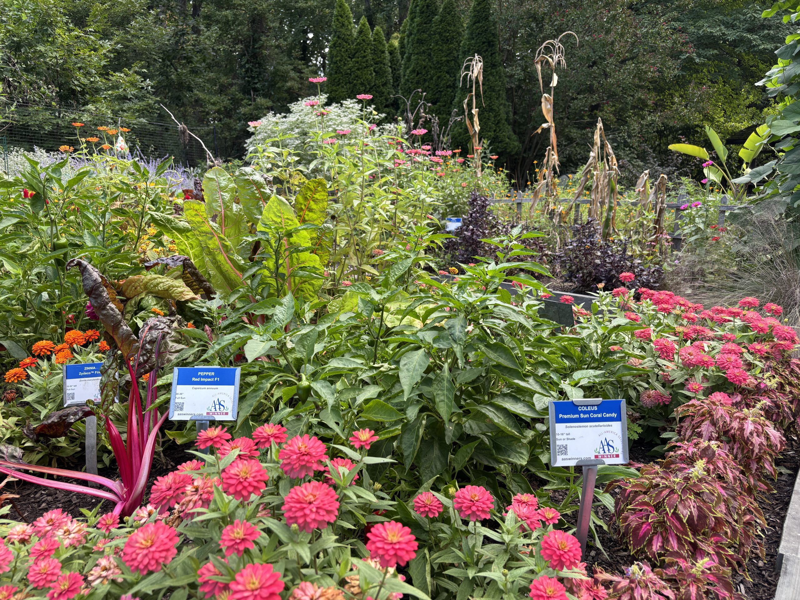 AAS Landscape Design Challenge Winner First Place Winner: Deep Cut Gardens, Middletown, New Jersey AAS Landscape Design Challenge Winner First Place Winner: Deep Cut Gardens, Middletown, New Jersey