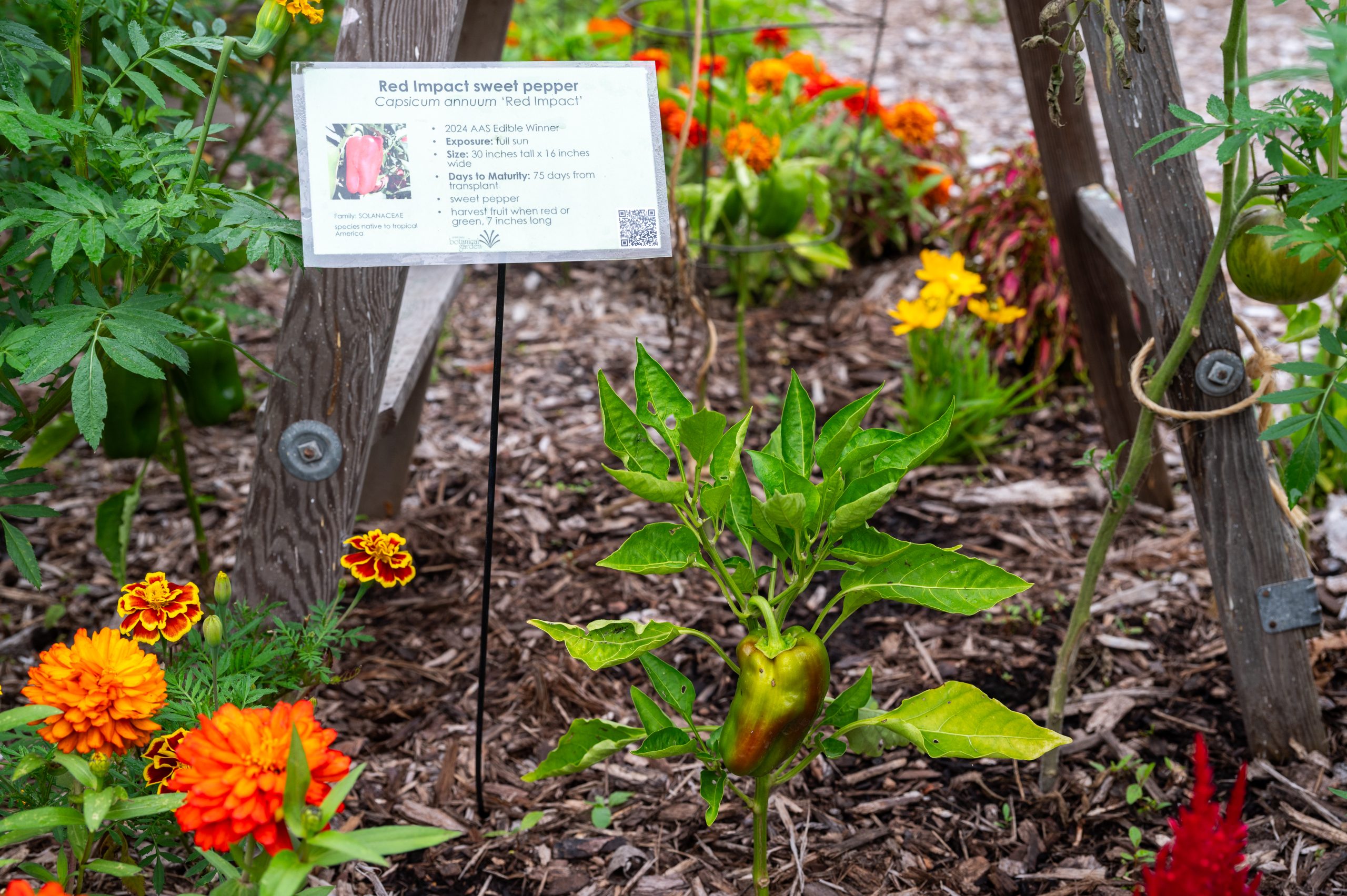 AAS Display Landscape Design Second Place Winner: Green Bay Botanical Garden in Green Bay, Wisconsin