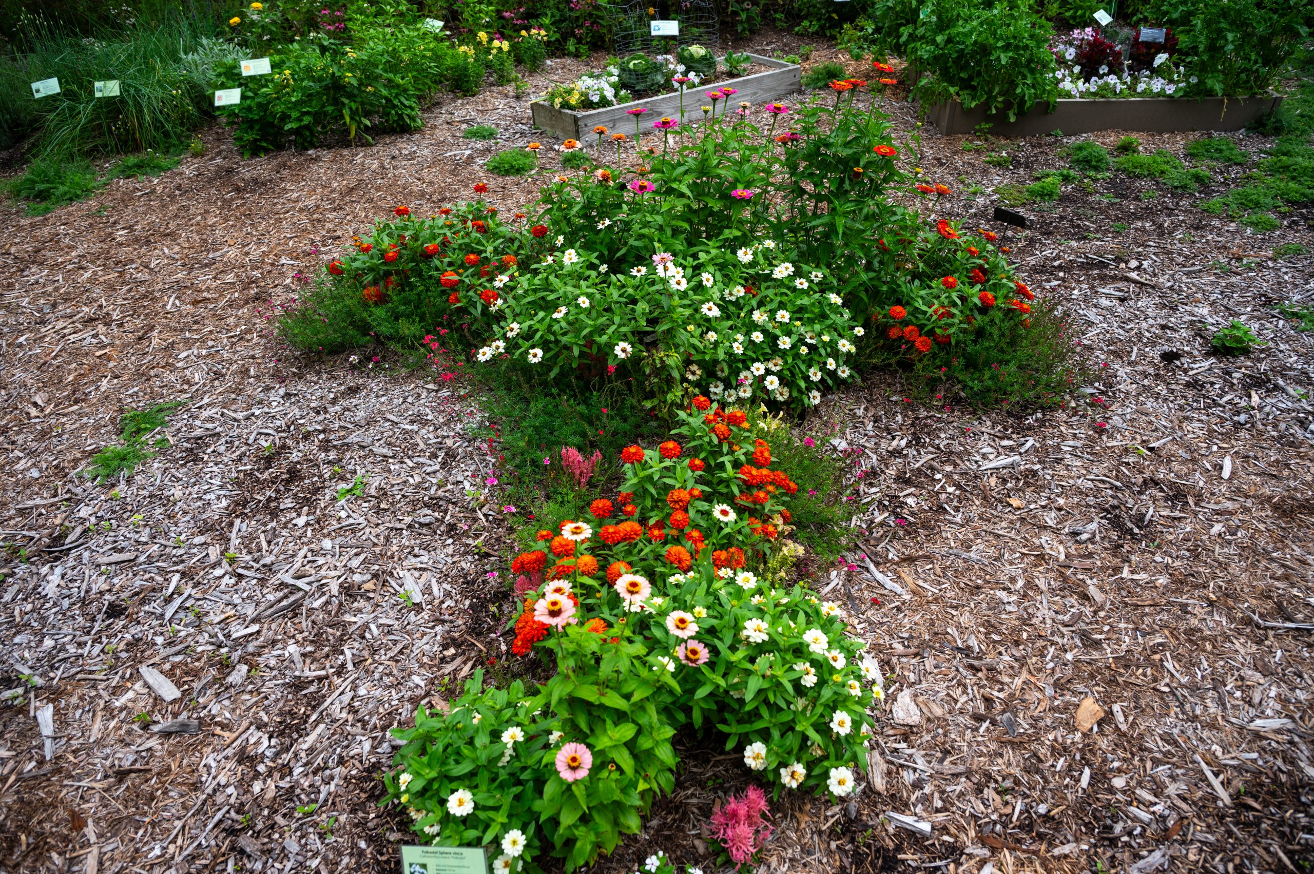 AAS Display Landscape Design Second Place Winner: Green Bay Botanical Garden in Green Bay, Wisconsin