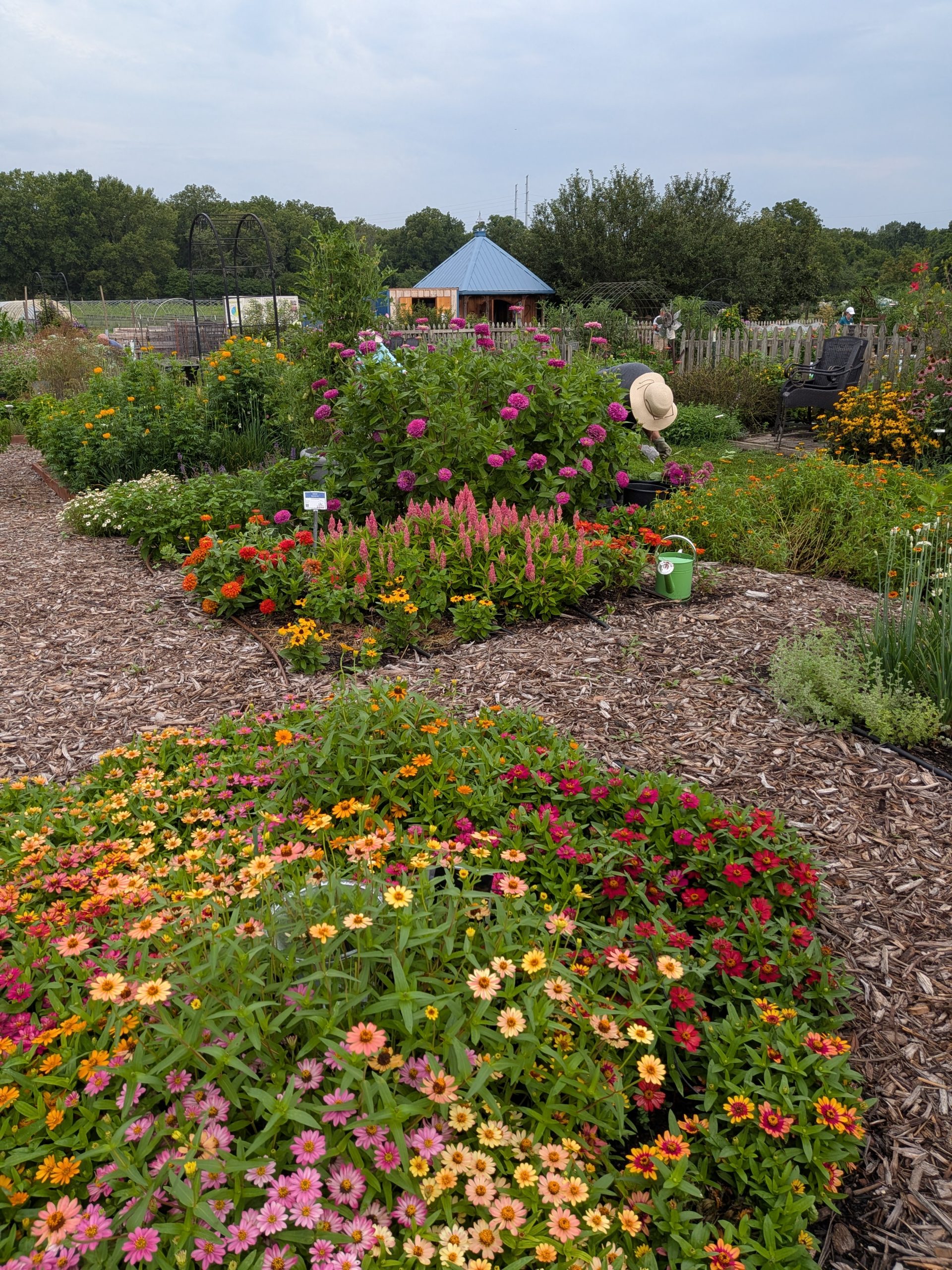 AAS Display Garden Challenge First Place Winner: Kansas State Univ Horticulture Research and Extension Center in Olathe, Kansas