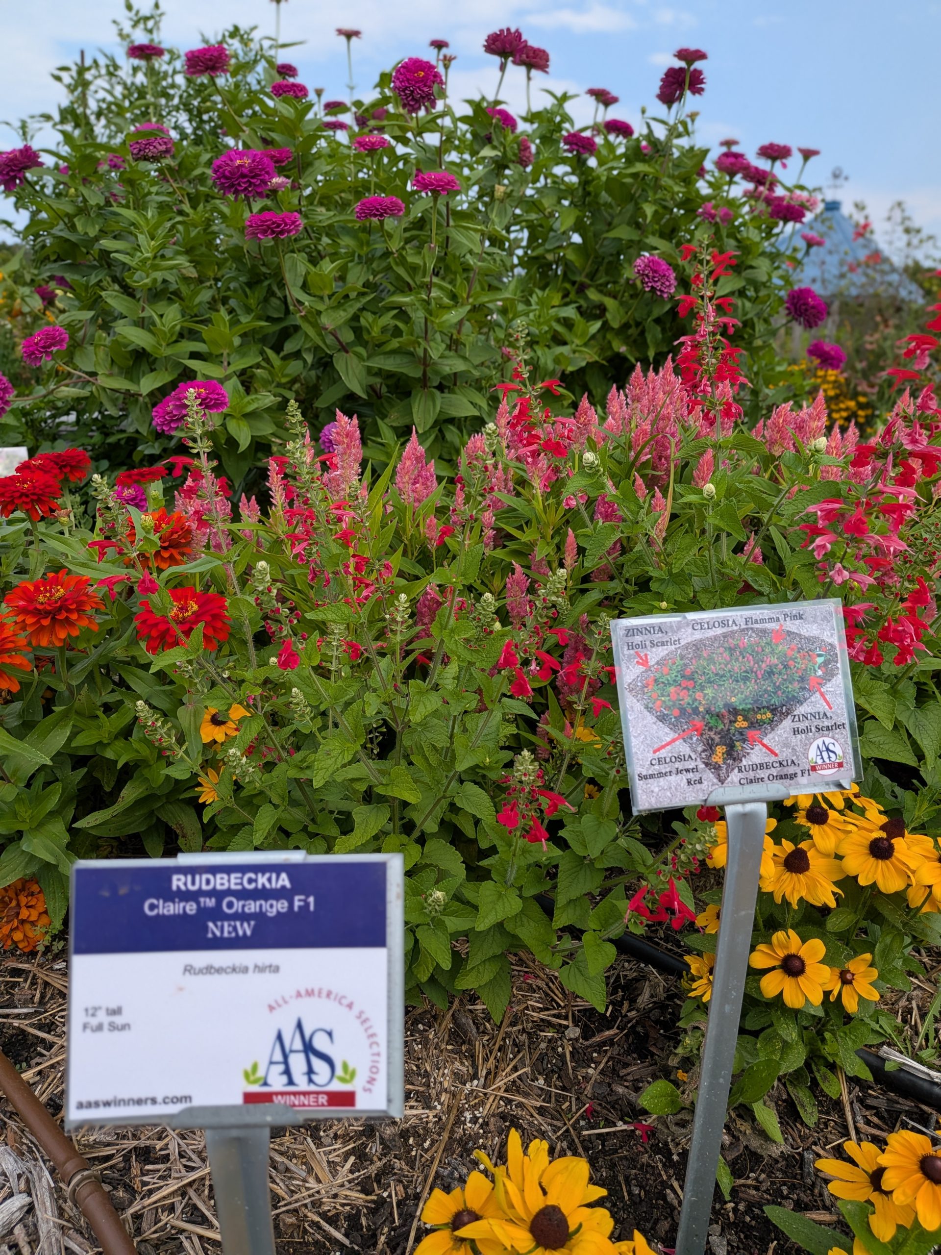 AAS Display Garden Challenge First Place Winner: Kansas State Univ Horticulture Research and Extension Center in Olathe, Kansas