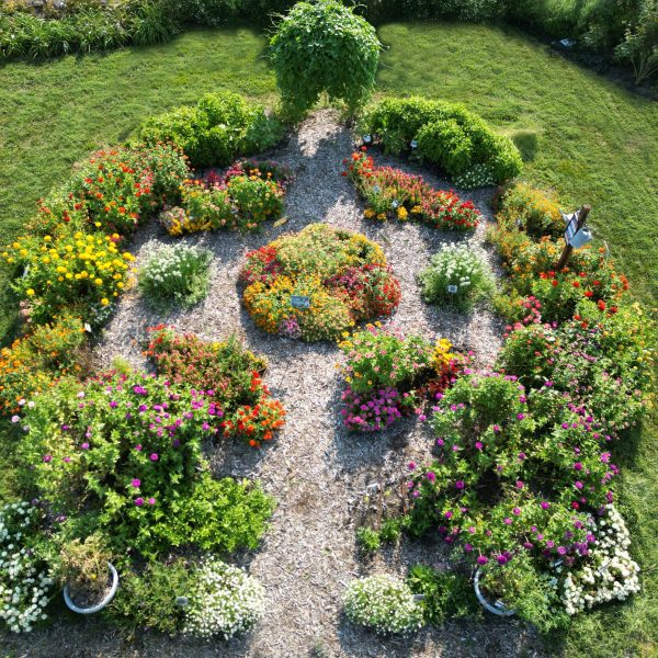 AAS Display Garden Challenge First Place Winner: Kansas State Univ Horticulture Research and Extension Center in Olathe, Kansas