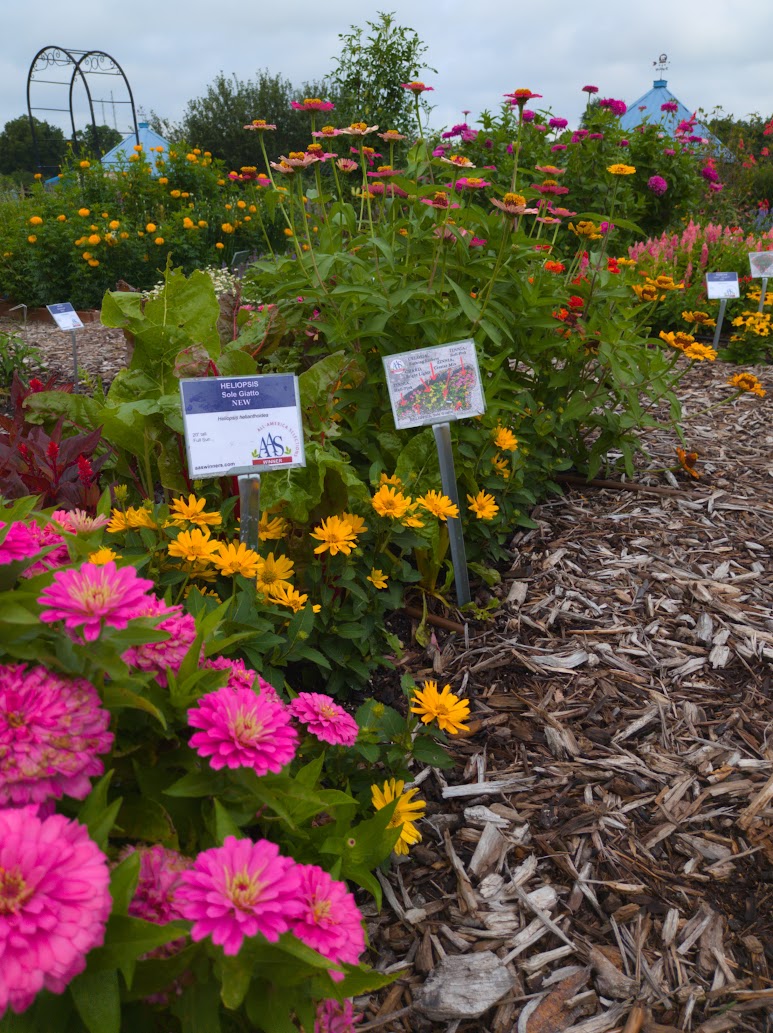 AAS Display Garden Challenge First Place Winner: Kansas State Univ Horticulture Research and Extension Center in Olathe, Kansas
