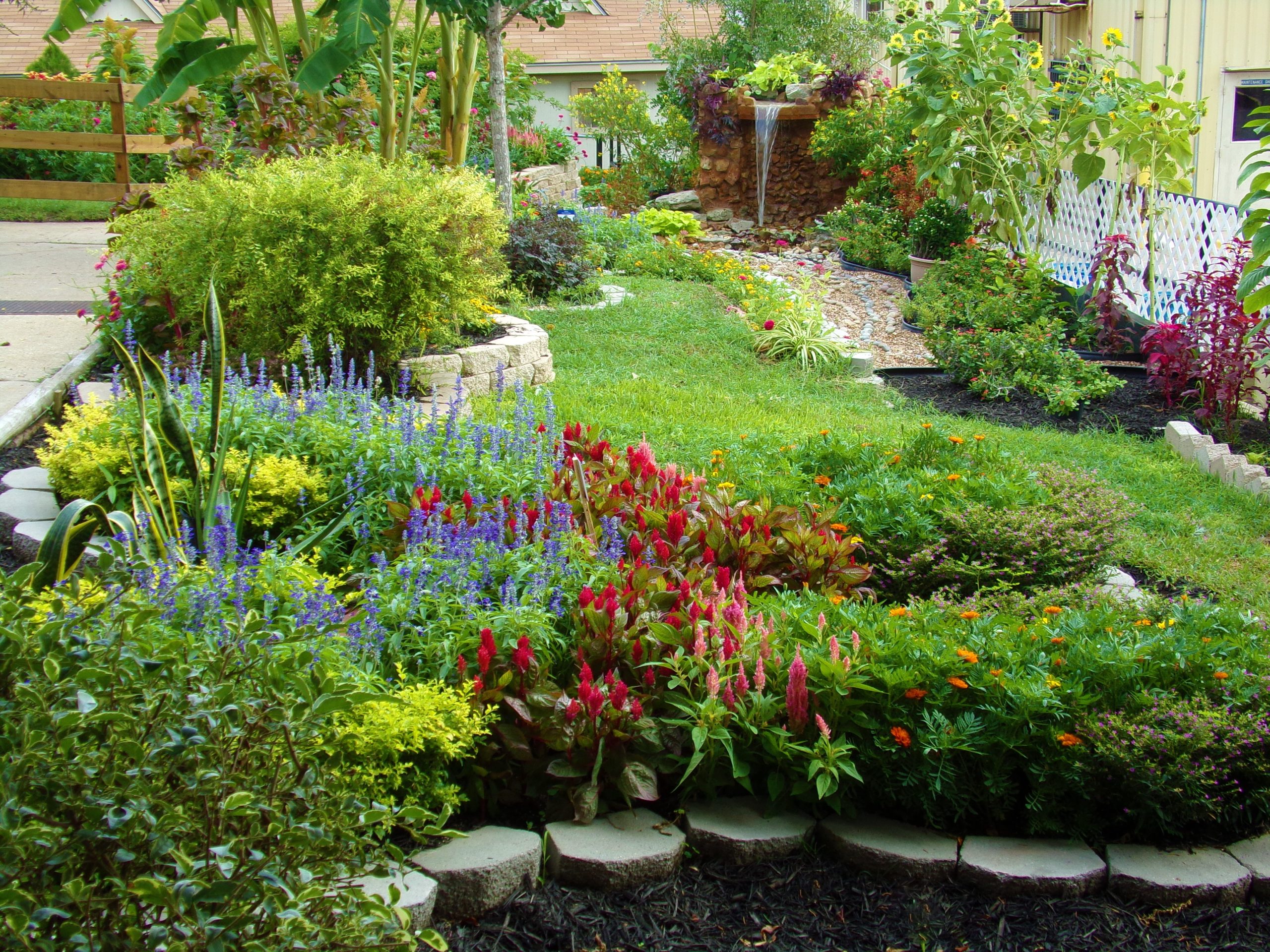 AAS Display Garden Challenge Second Place Winner: Lee College Horticulture Program, Huntsville, Texas