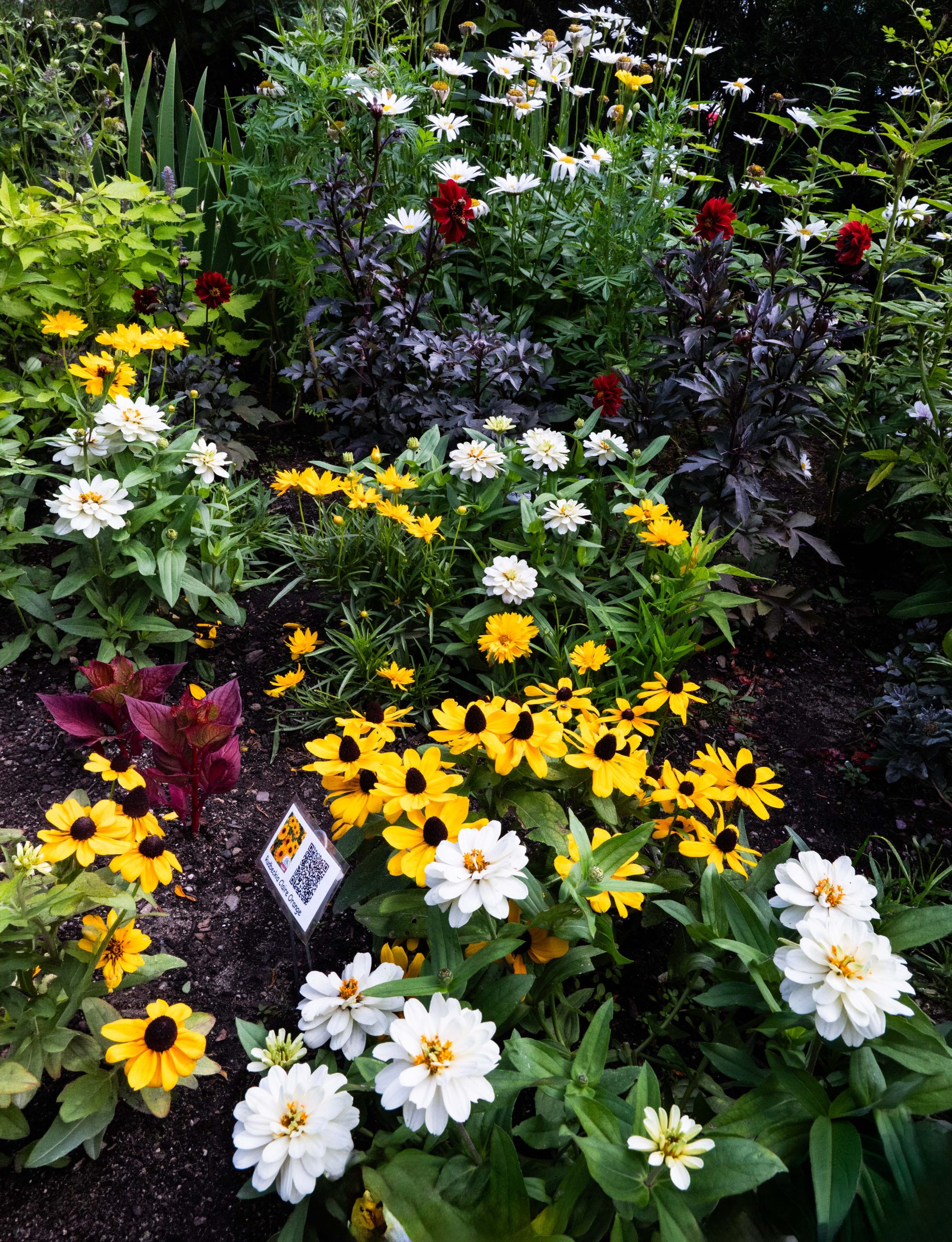 AAS Display Challenge Winner First Place Winner: Newton Centre Garden, Newton Centre, Massachusetts