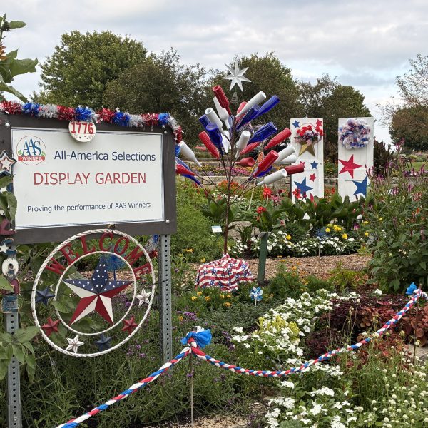 AAS Display Challenge Winner Third Place Winner (a tie): Noelridge Park Gardens, Cedar Rapids, Iowa