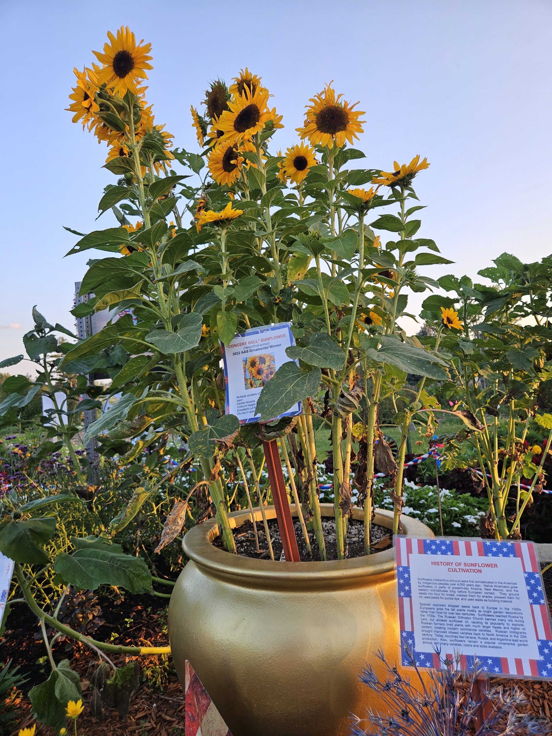 AAS Display Challenge Winner Third Place Winner (a tie): Noelridge Park Gardens, Cedar Rapids, Iowa