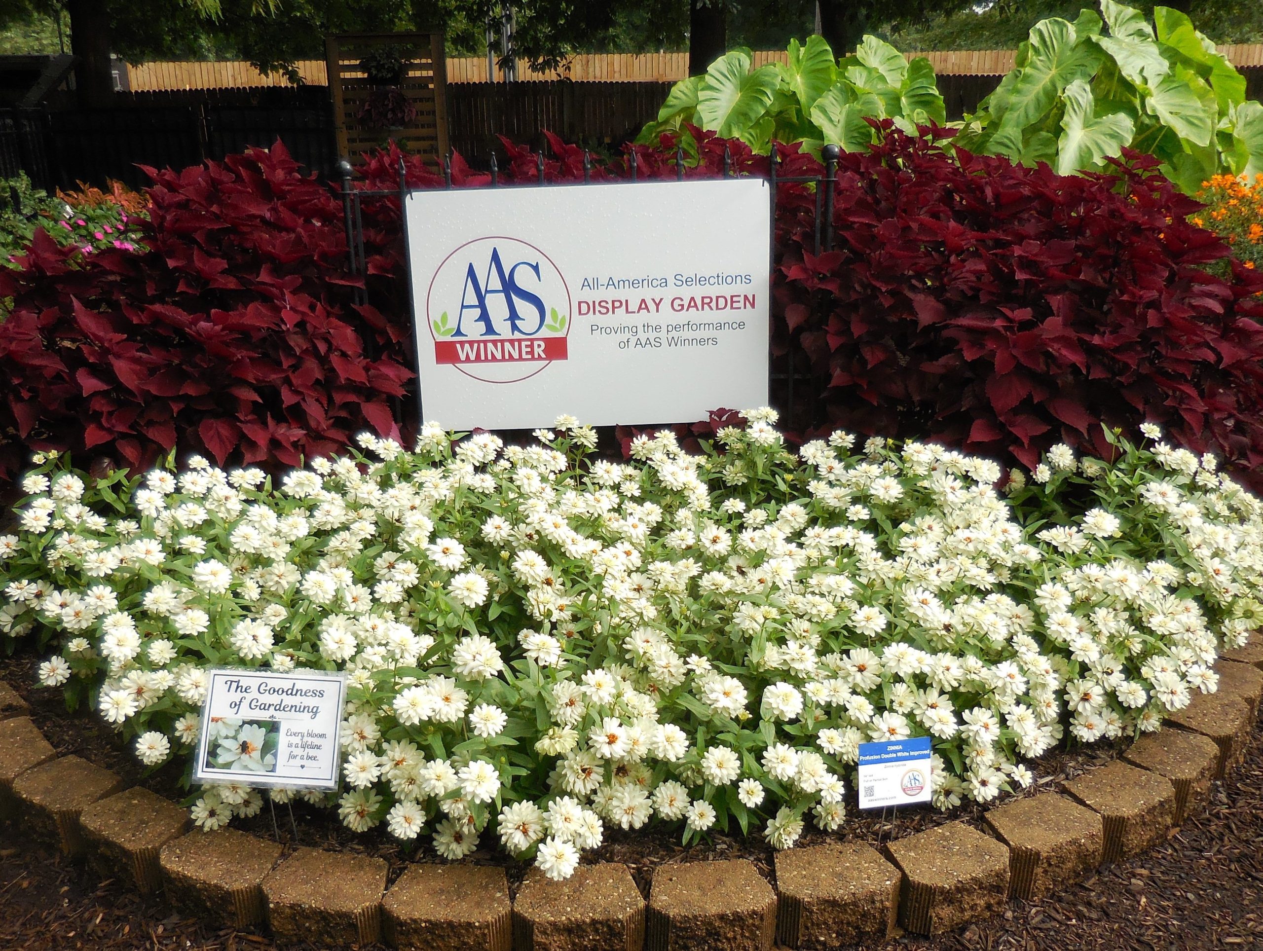 AAS Display Garden Challenge Third Place Winner: Purdue Extension-Marion County Demonstration Garden in Indianapolis, Indiana