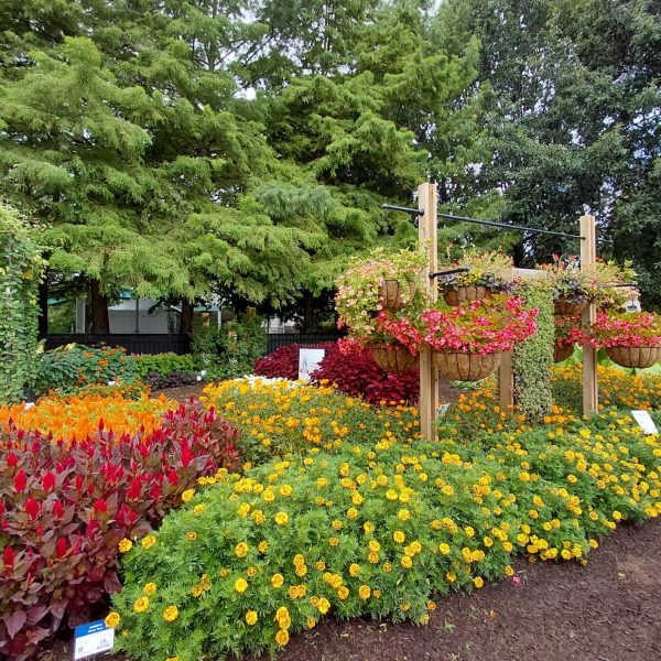 AAS Display Garden Challenge Third Place Winner: Purdue Extension-Marion County Demonstration Garden in Indianapolis, Indiana