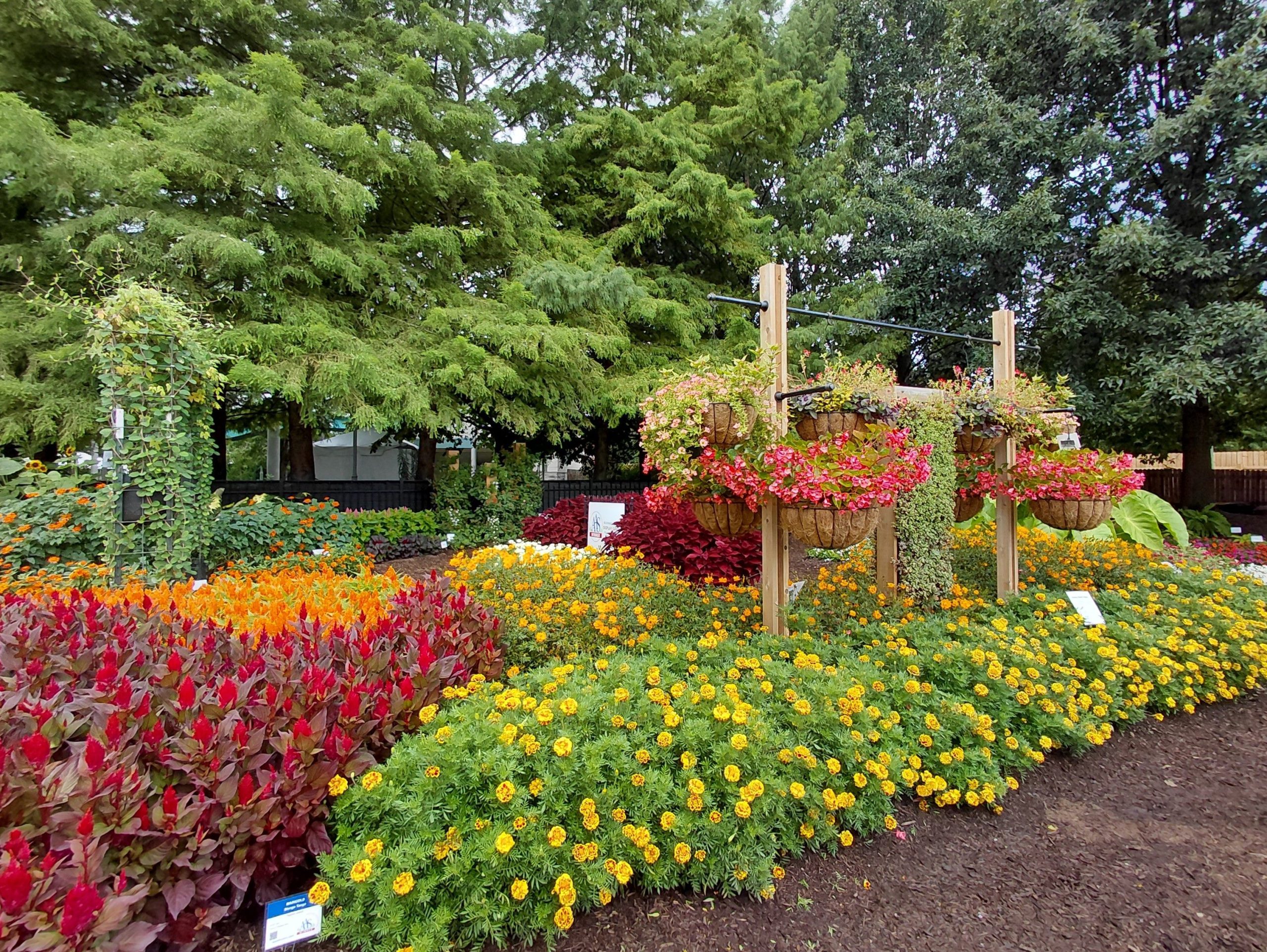 AAS Display Garden Challenge Third Place Winner: Purdue Extension-Marion County Demonstration Garden in Indianapolis, Indiana